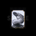 RAPTOR FEATHERS - ORIGINAL - Falvie Shop