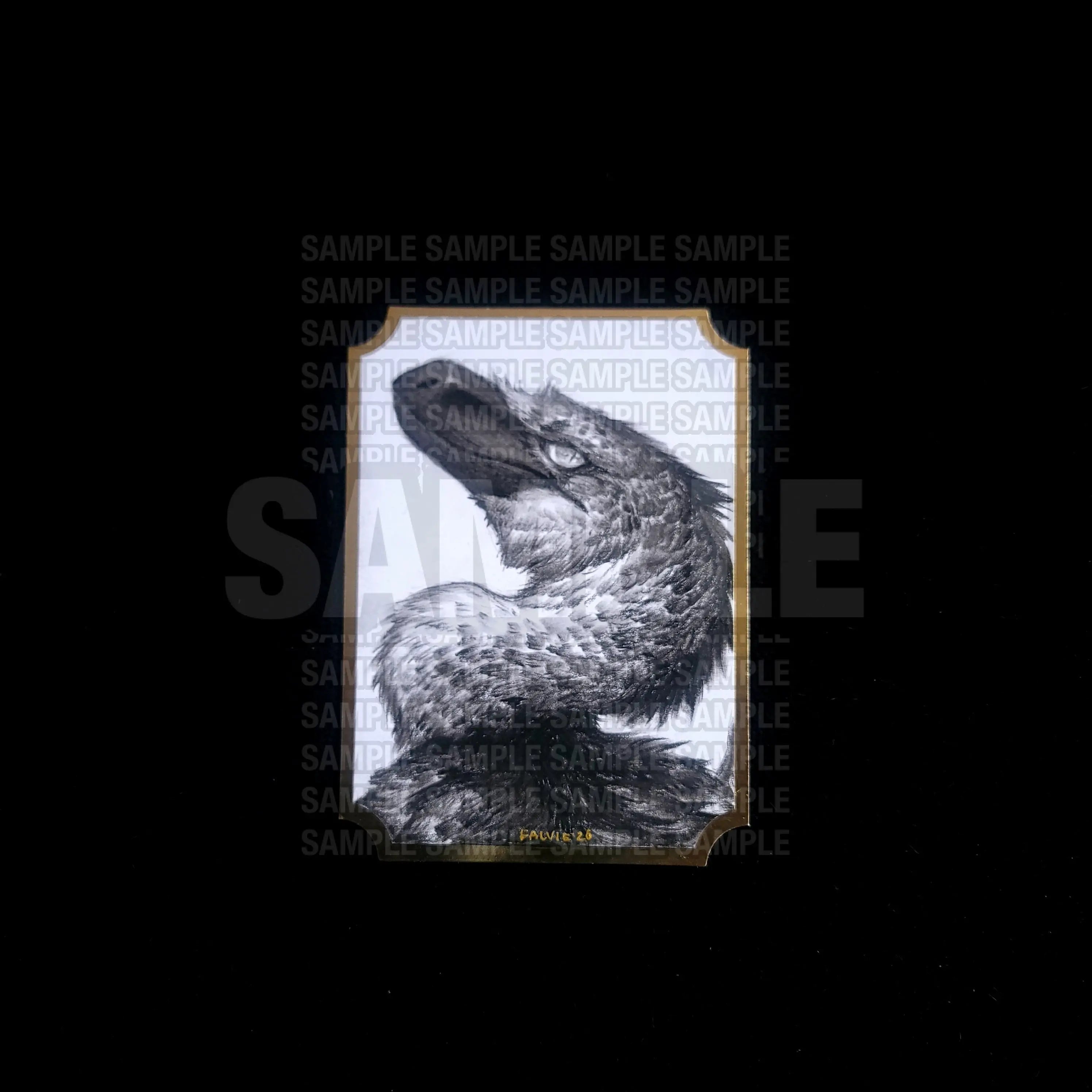 RAPTOR FEATHERS - ORIGINAL - Falvie Shop