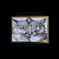 TAPETUM LUCIDUM - ORIGINAL - Falvie Shop